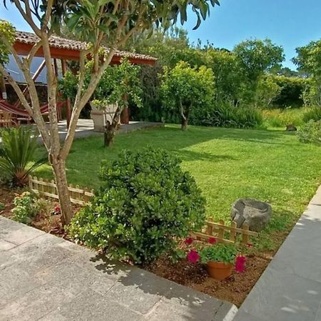 Casa Azores Zen Ribeira Grande Ngoại thất bức ảnh
