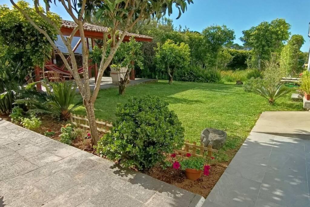 Casa Azores Zen Ribeira Grande Ngoại thất bức ảnh
